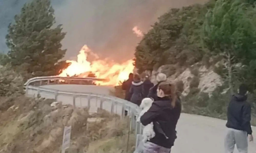  Φωτιά σε δάσος στον Άγιο Νικήτα της Λευκάδας – Σηκώθηκε ελικόπτερο